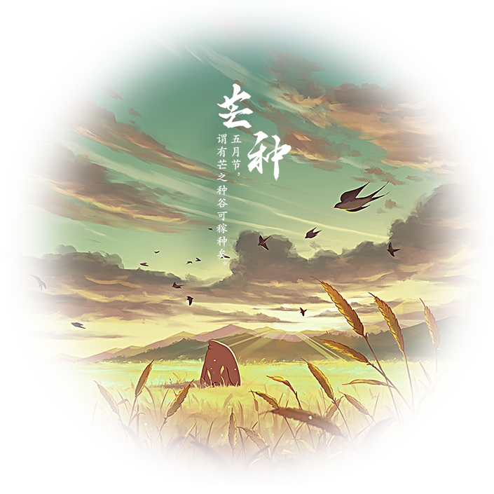 芒种