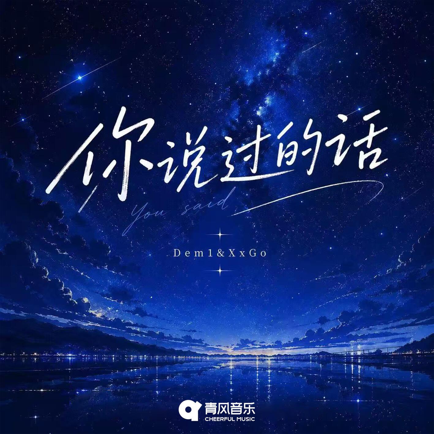 你说过的话