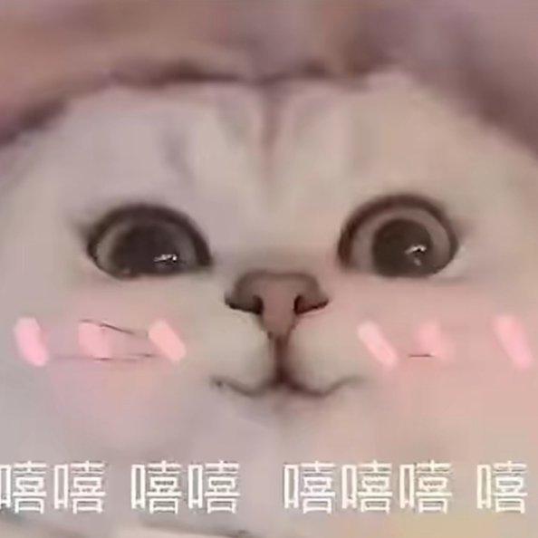本人画画最❤️听得歌