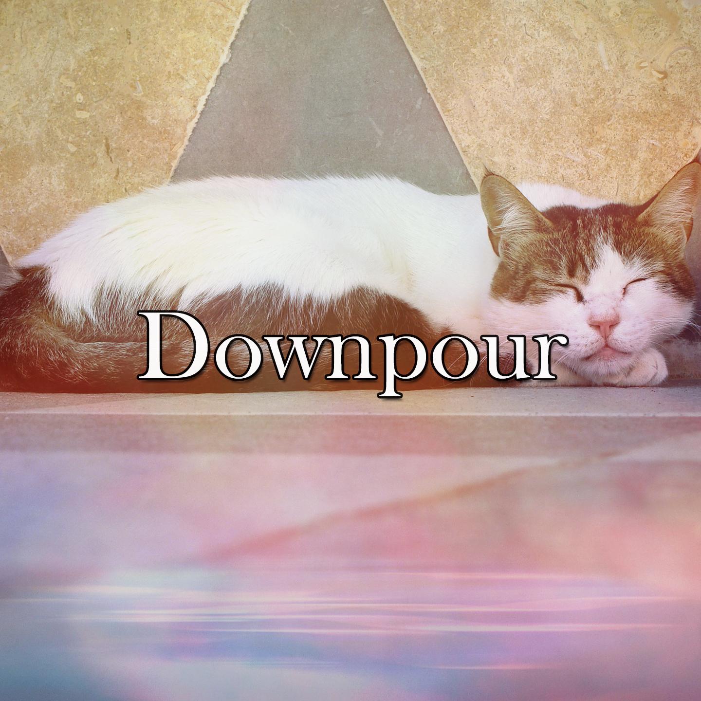 Downpour专辑