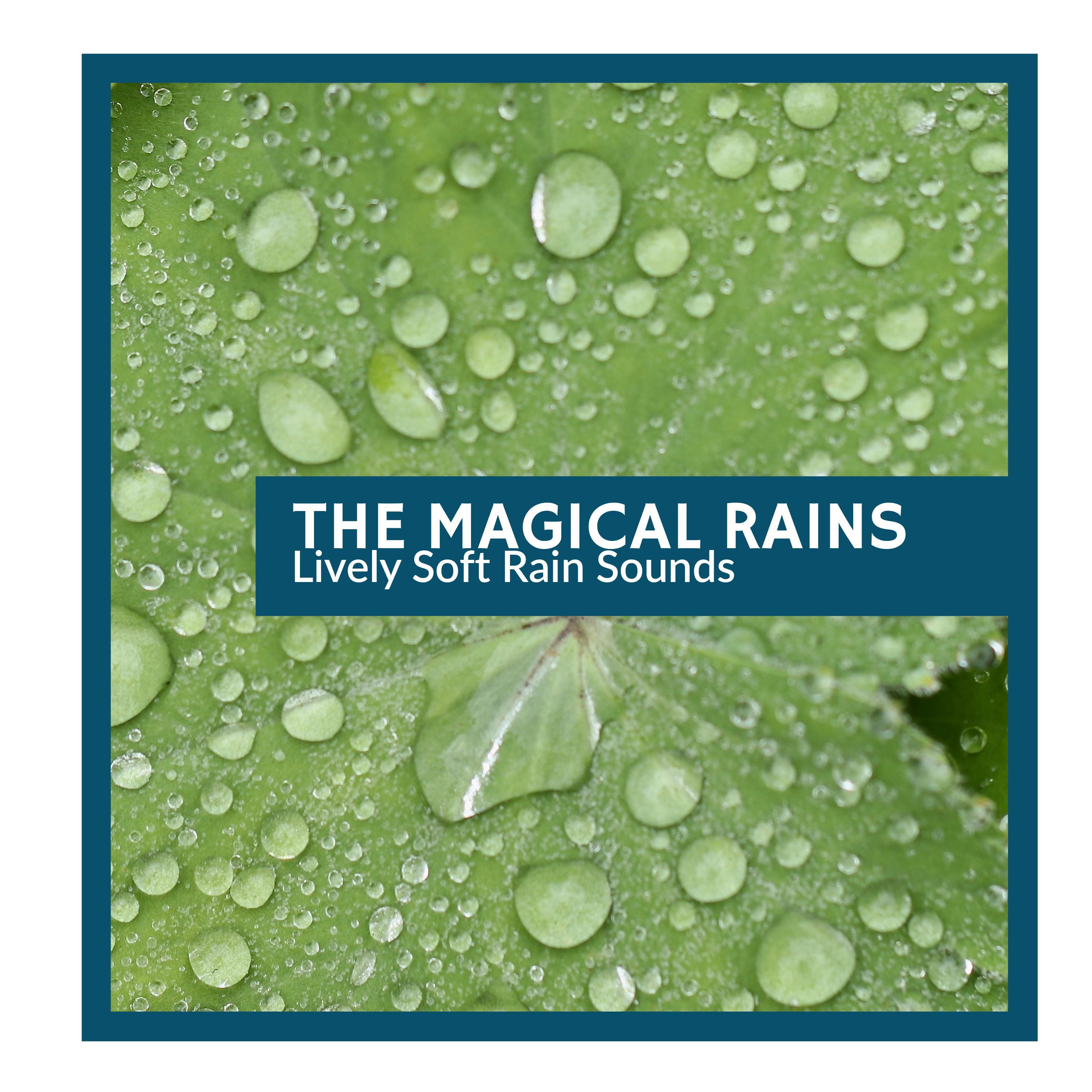 Clean Jungle Rain Music - Impulsive Mountain Stream