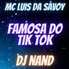 DJ Nand - Famosa do Tik Tok