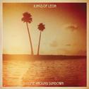 Come Around Sundown (Deluxe Edition)专辑