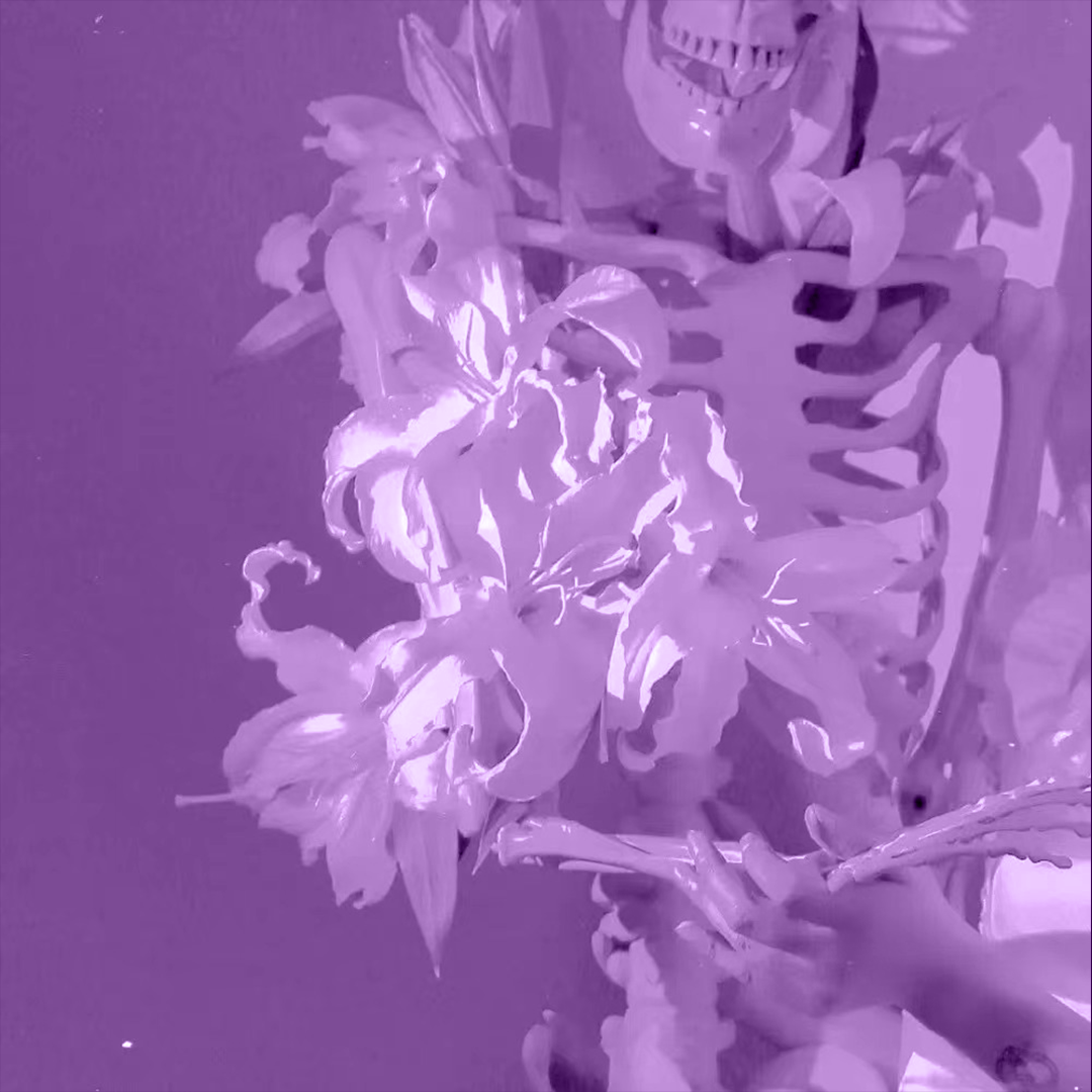 ''信封''