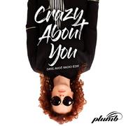 Crazy About You (Dave Audé Radio Edit)