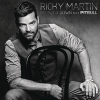 Ricky Martin - Mr. Put It Down (feat. Pitbull) (Instrumental) 原版无和声伴奏