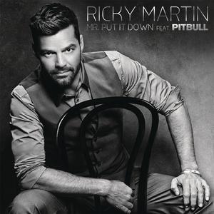 Ricky Martin - Mr. Put It Down (feat. Pitbull) (Instrumental) 原版无和声伴奏 （升1半音）