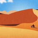 Desert camel专辑