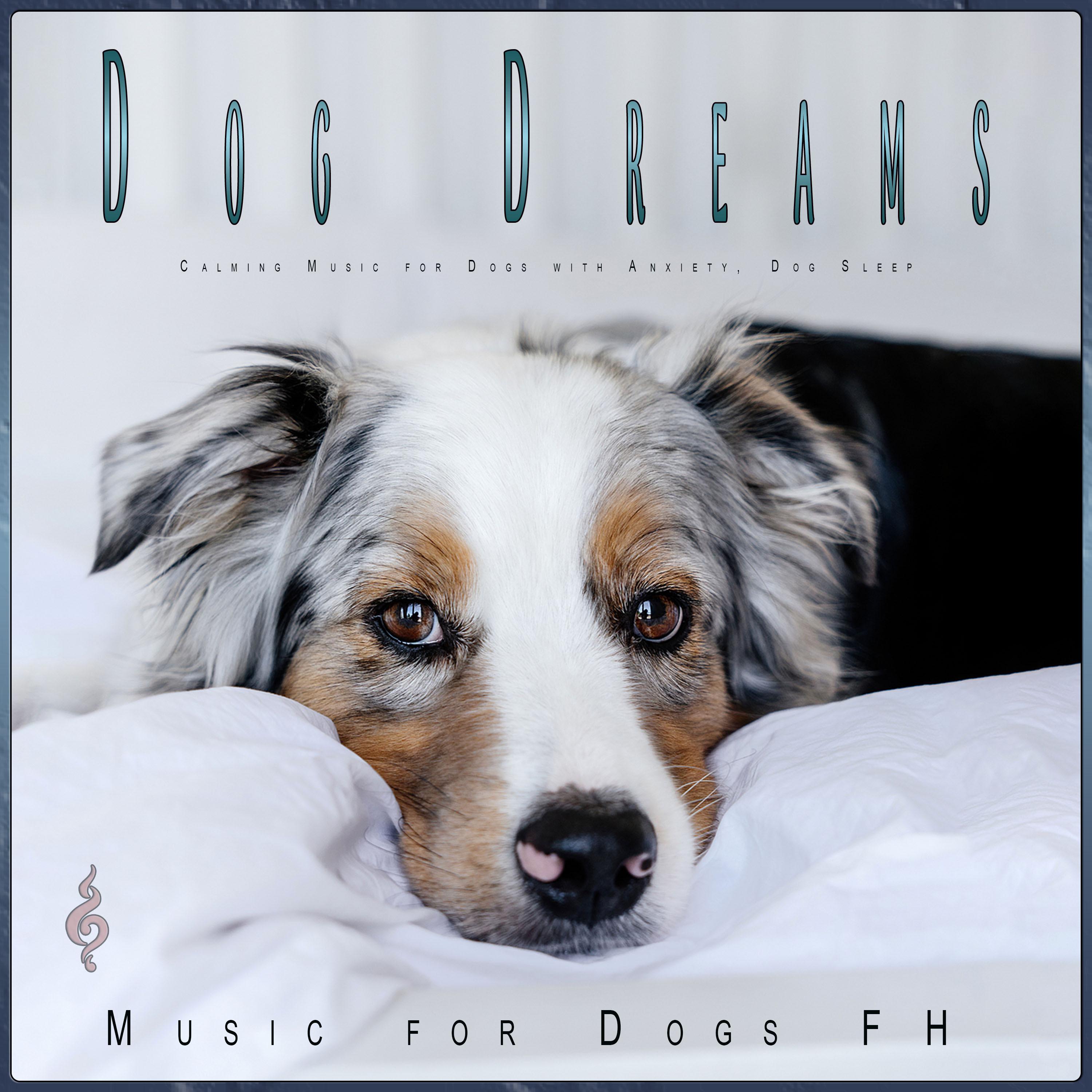 Dog Music Dreams - Relaxing Guitar Music for Pets