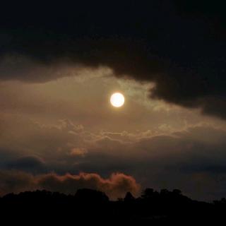 日暮温柔 | 总有能触动你心灵深处的声音