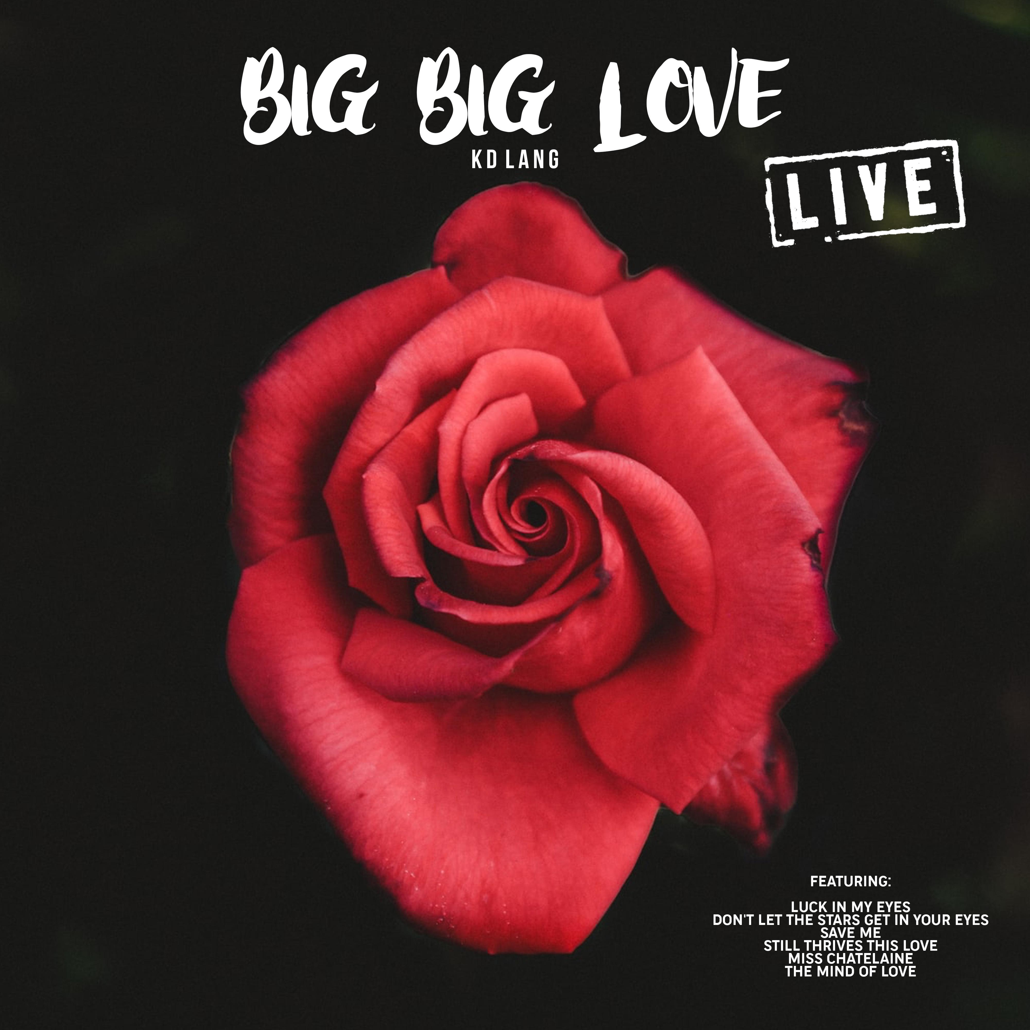 Big Big Love (Live)