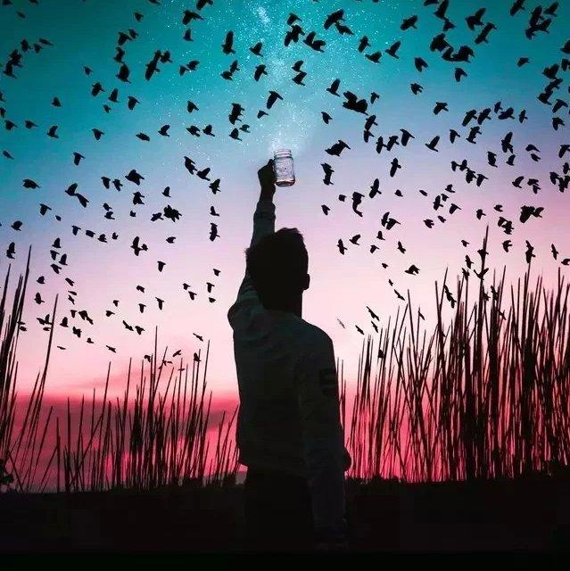 旋律控丨捧住星空下幻彩的超美旋律