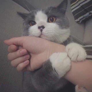 睡前故事