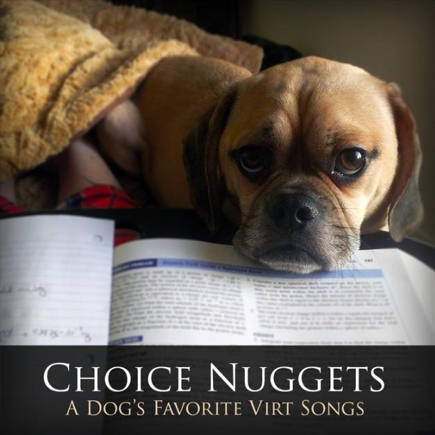 Choice Nuggets