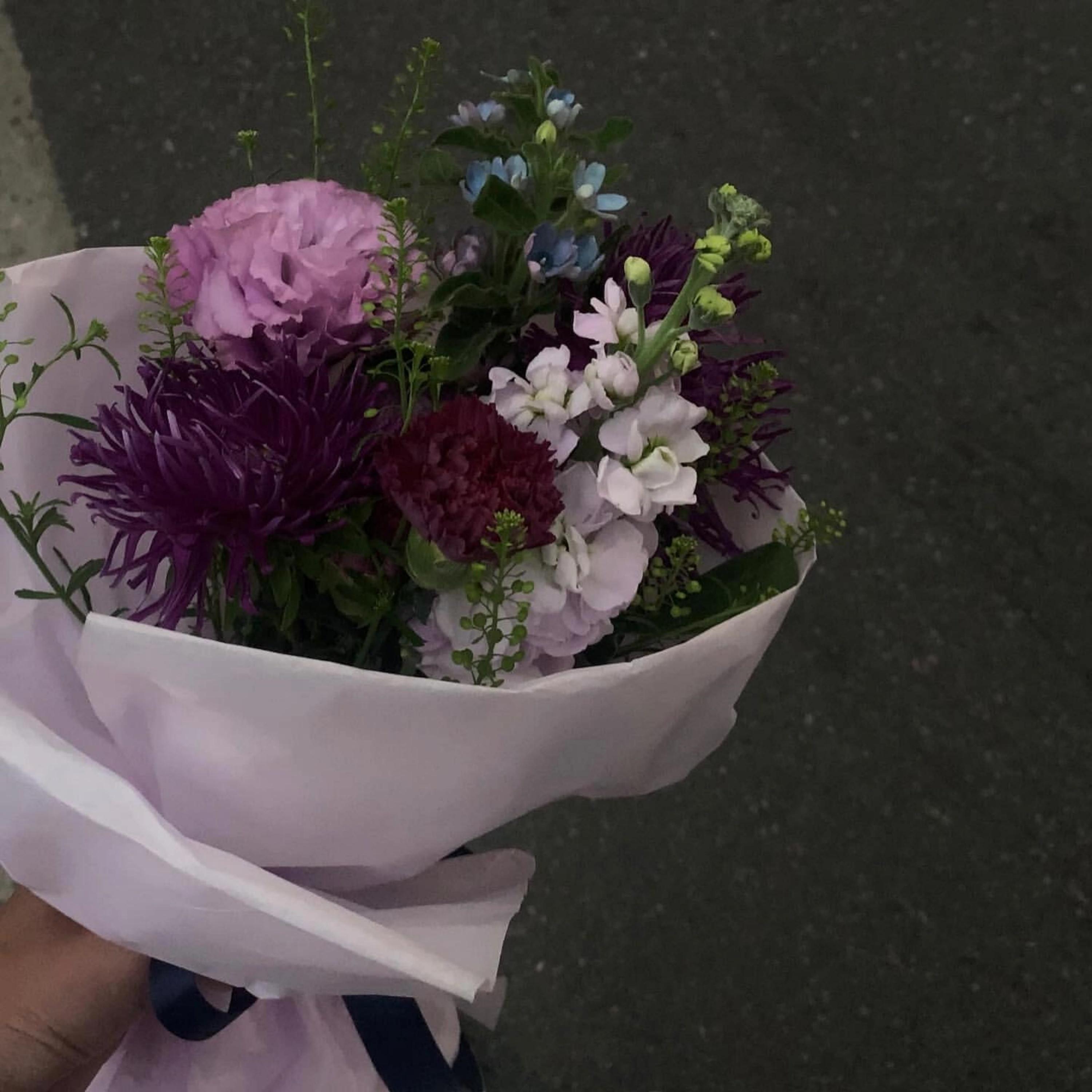 plain Jane（倒计时版）