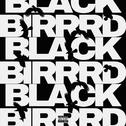 BLACKBIRRRD专辑