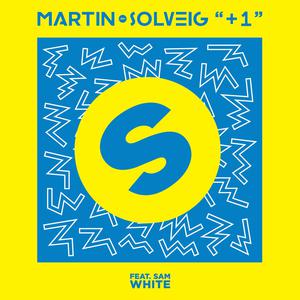 +1 (Plus 1) - Martin Solveig Feat. Sam White (karaoke) 带和声伴奏
