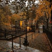 Autumn Vibe｜秋日巷陌 枫叶簌落的寂寥氛围歌单