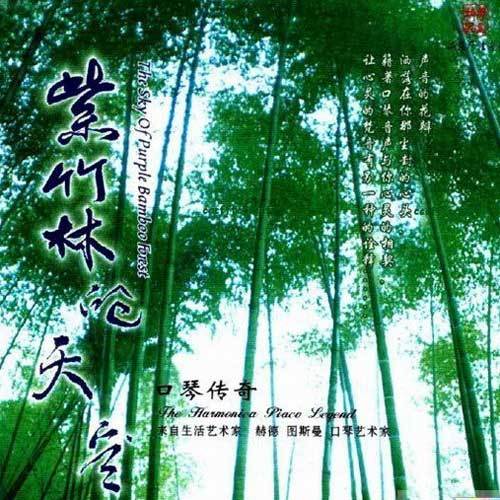 紫竹林的天空