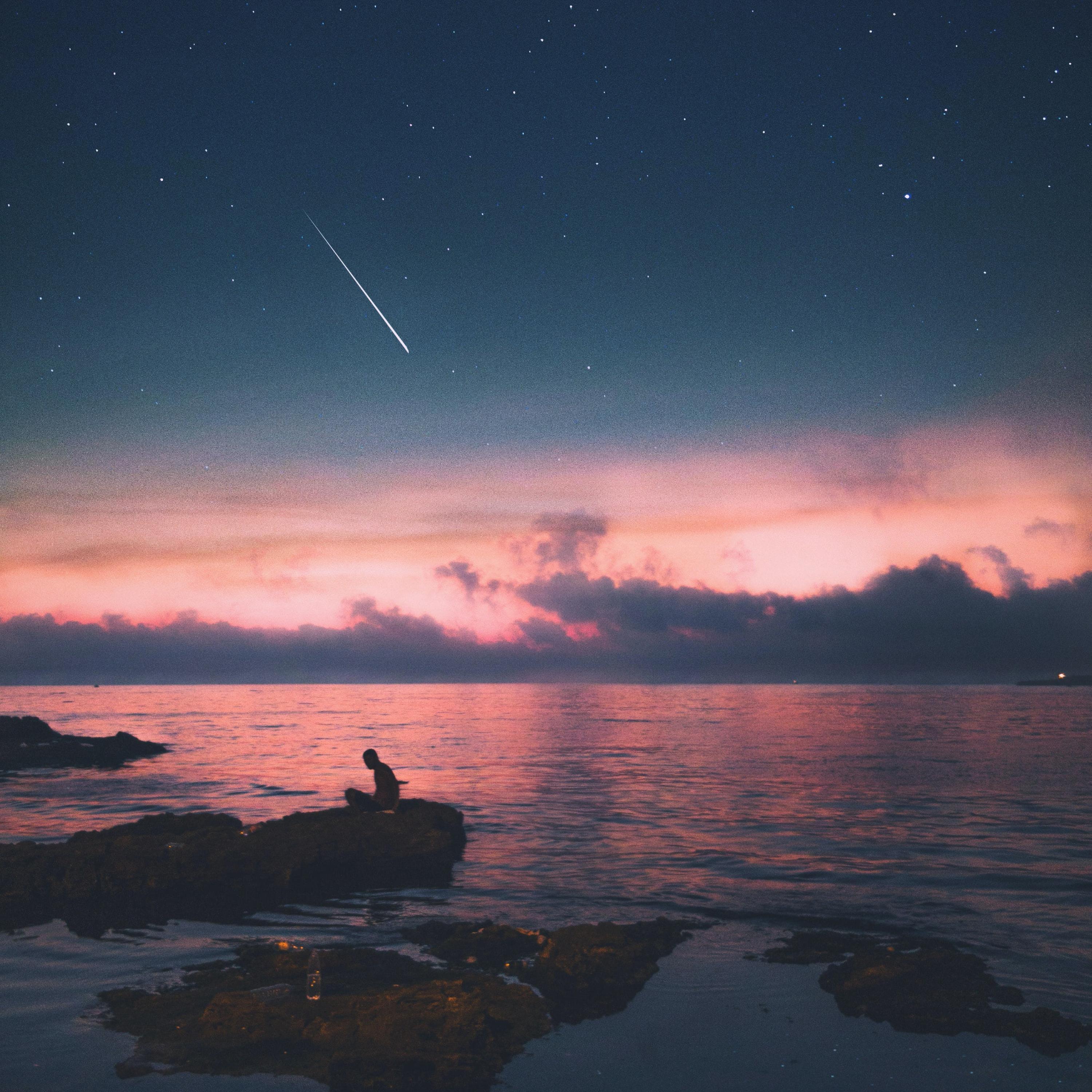 Stars May Fall