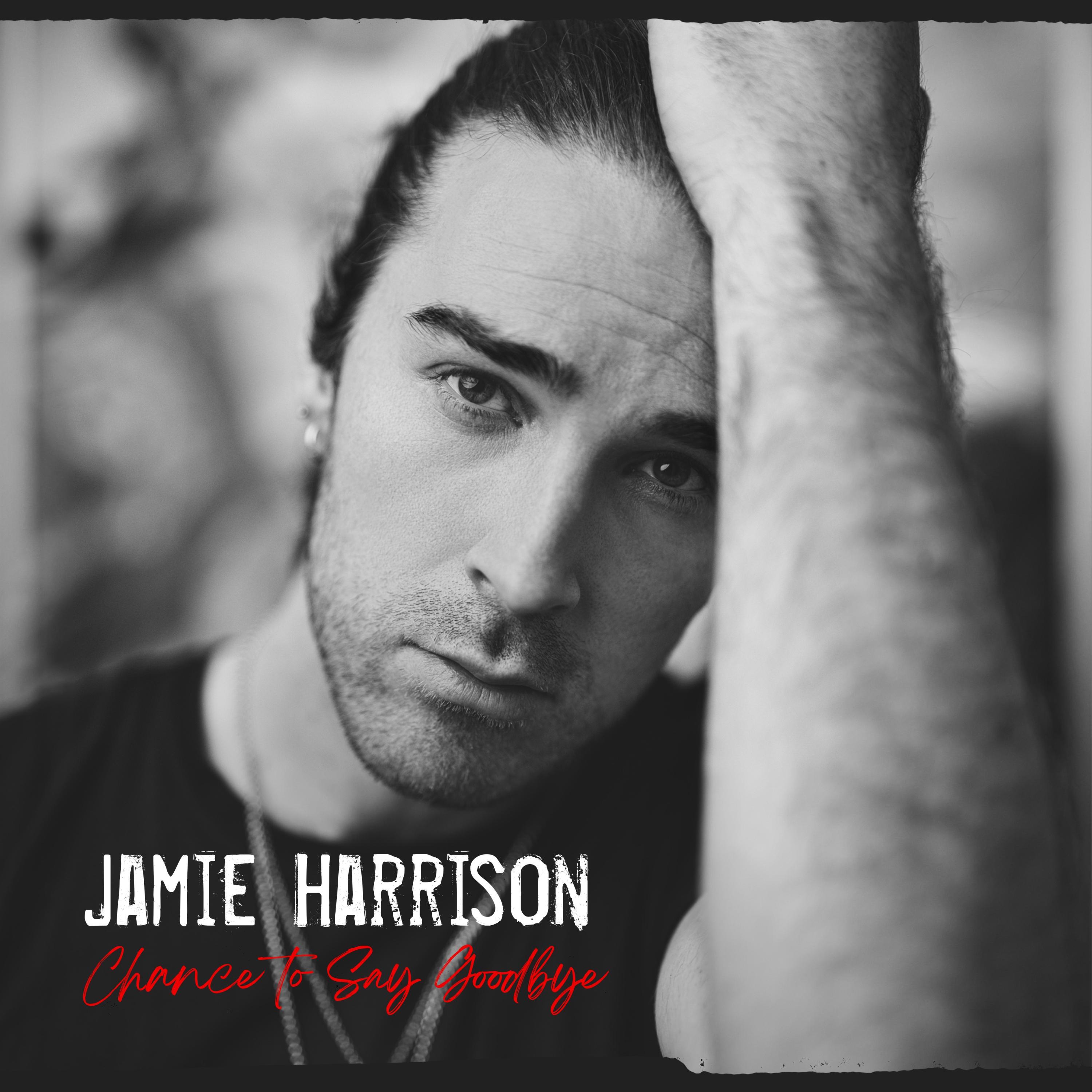 Jamie Harrison - Chance to Say Goodbye