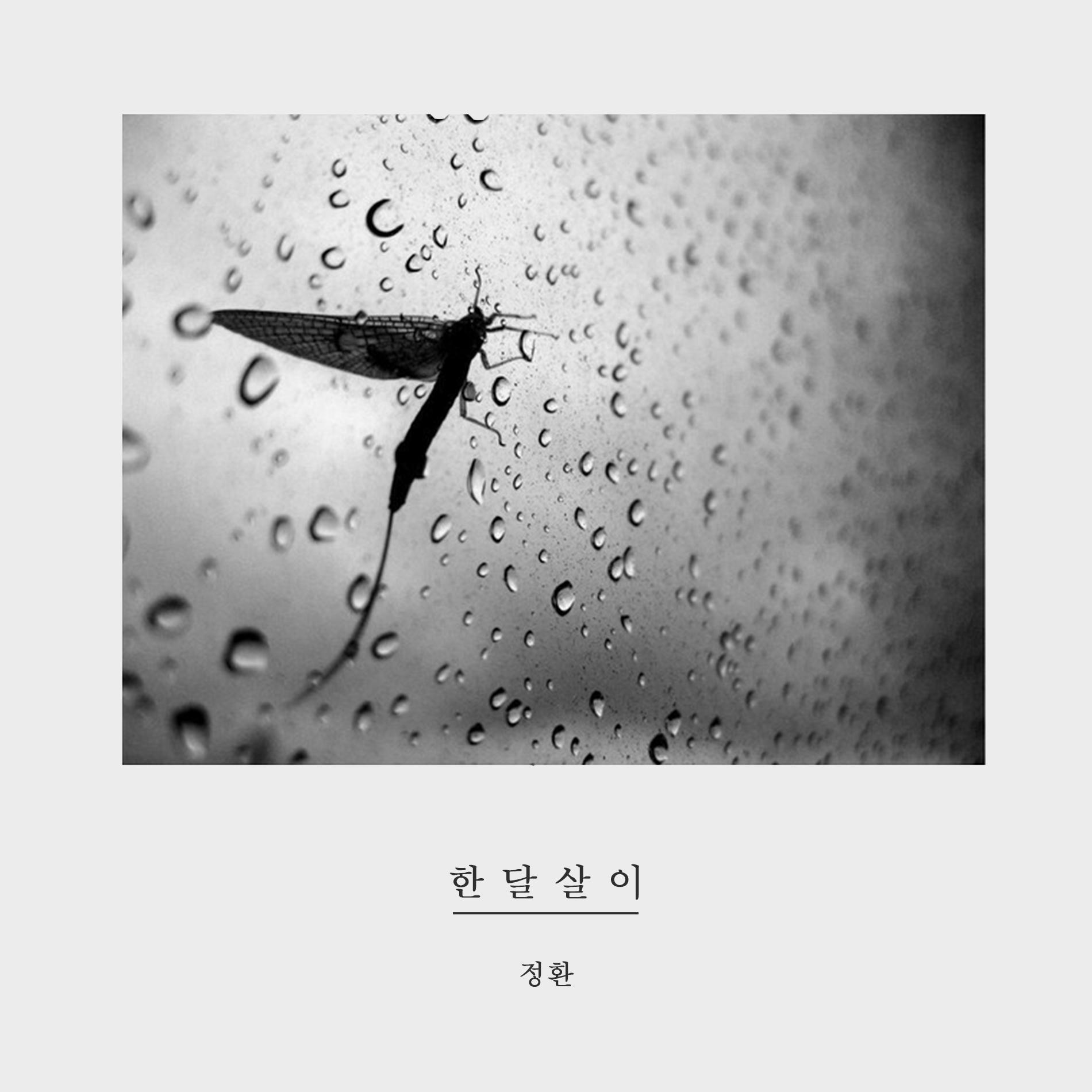 한달살이