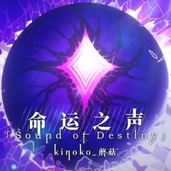 Sound Of Destiny (游戏《崩坏3》同人歌)