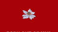淤泥专辑