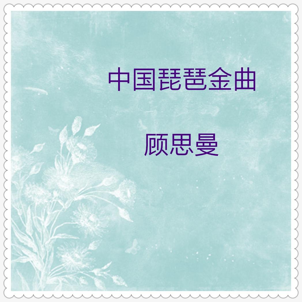 十面埋伏 (琵琶独奏)