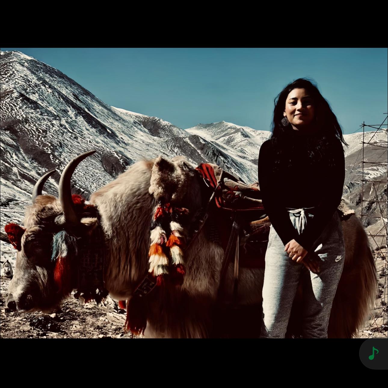 藏北牧女_岗嘎措