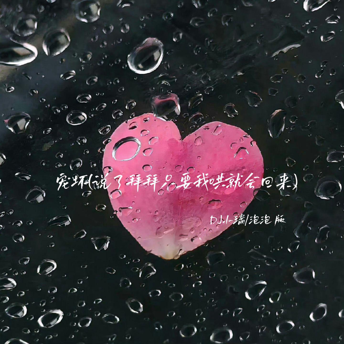 宠坏(说了拜拜只要我哄就会回来)专辑