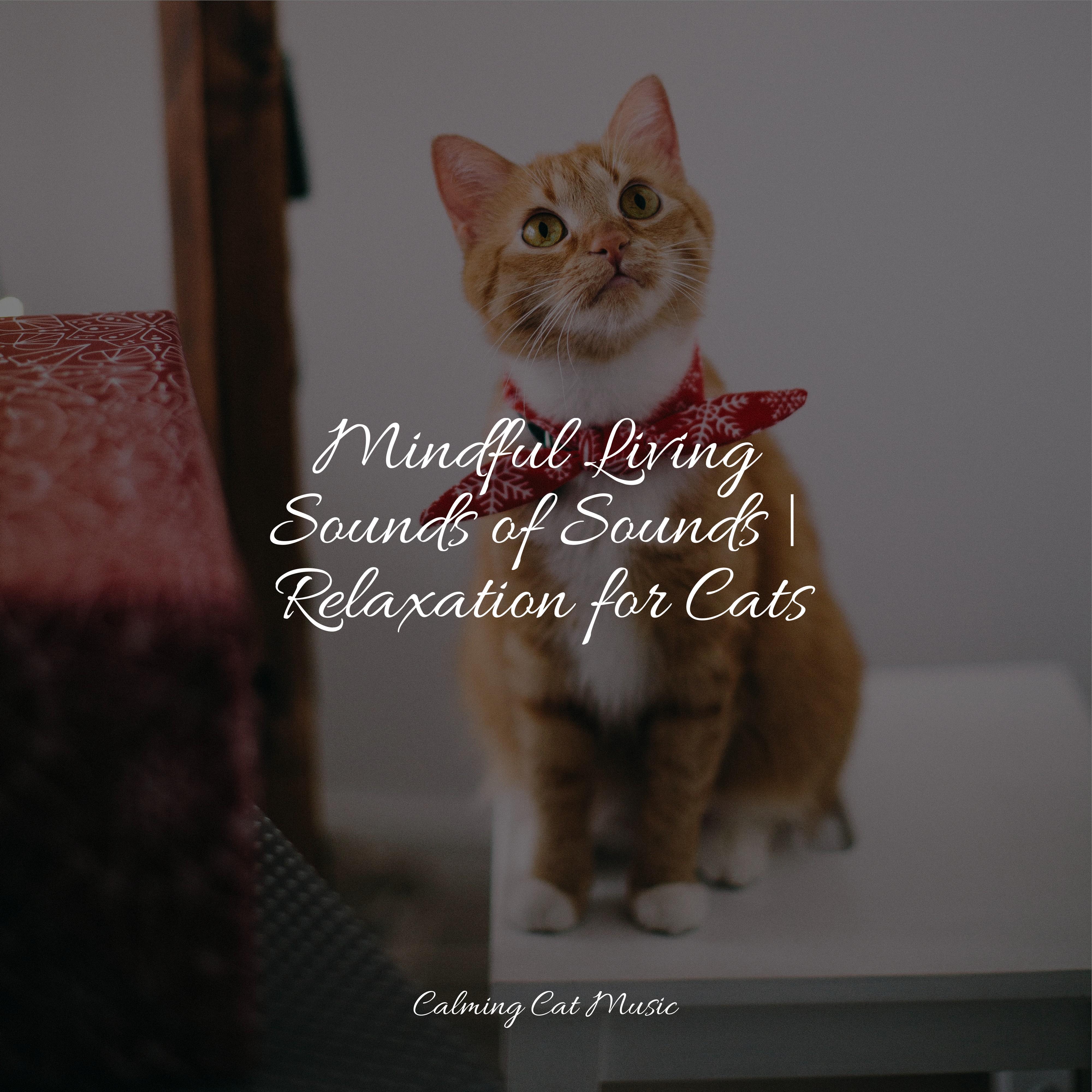 Pet Care Club - Serene Sounds