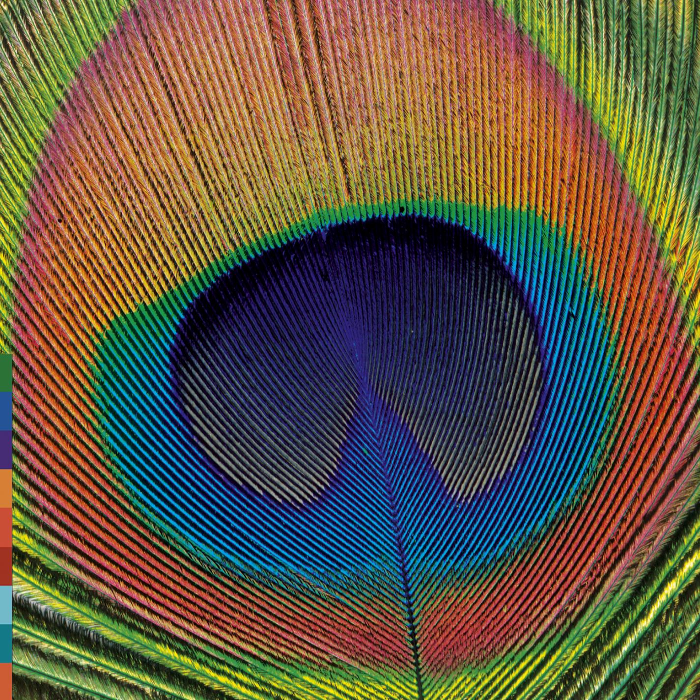 Day Of Colours