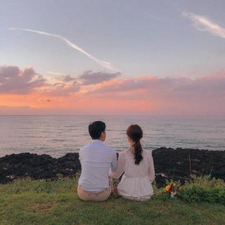 正午睡眠/清新小野猫