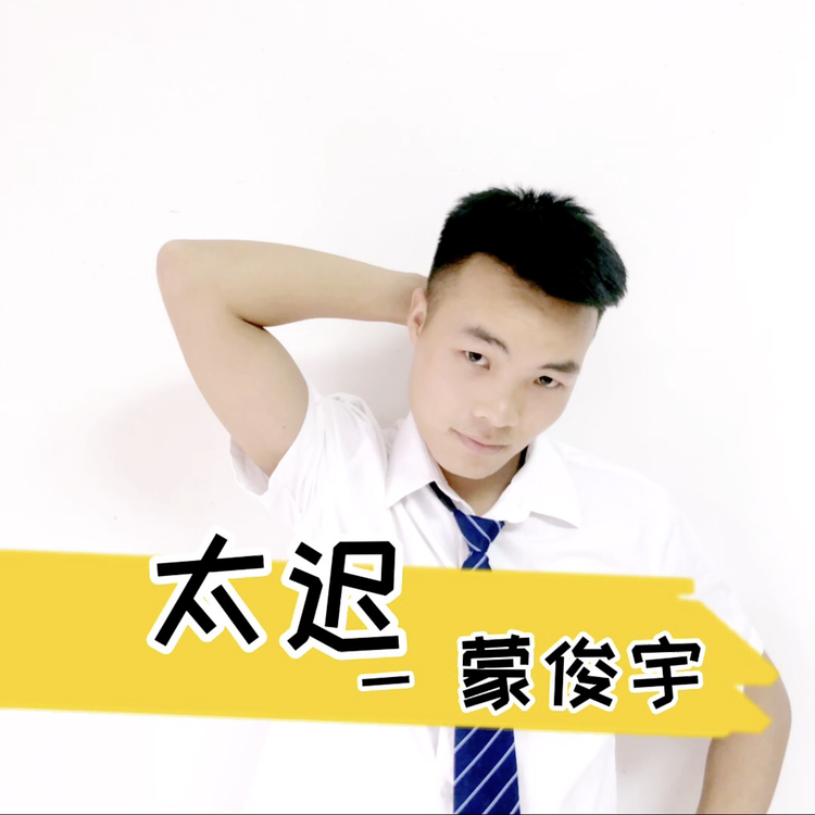 太迟