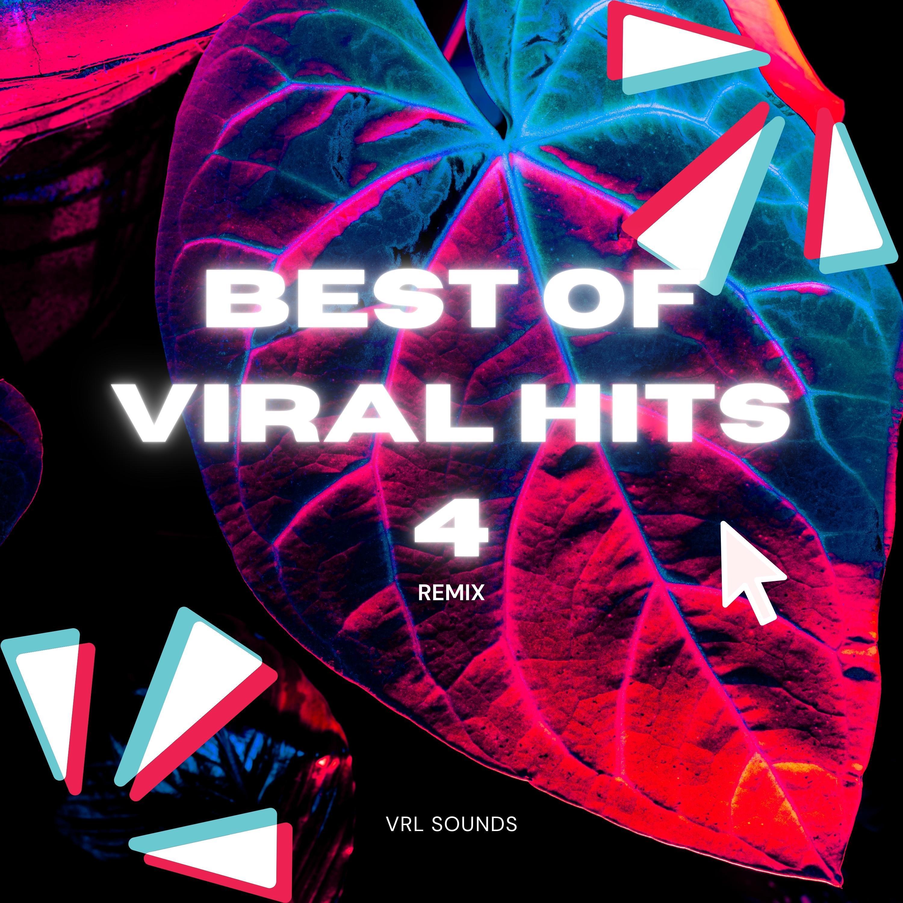 Best Of Viral Hits 4 (Remix)