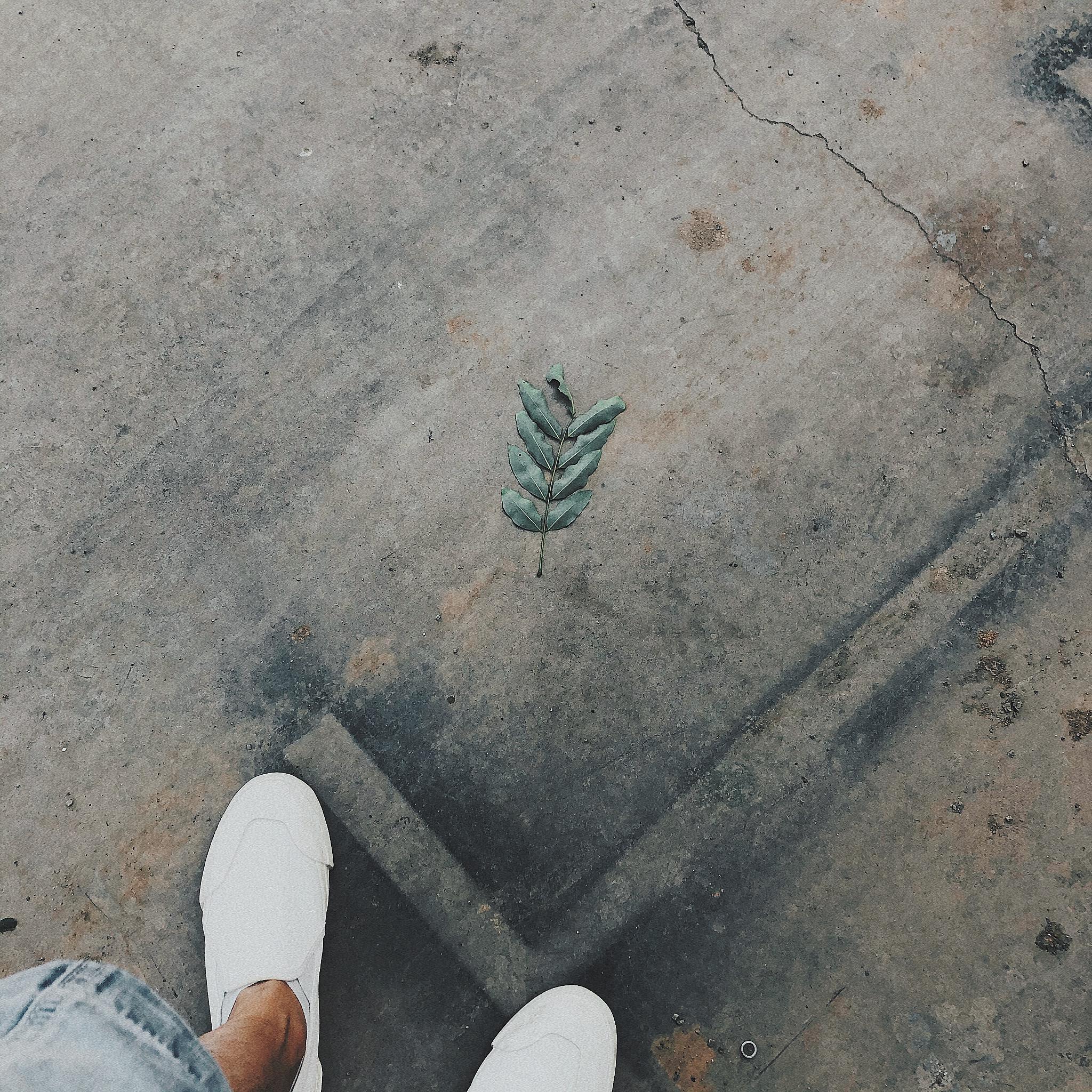 孩时的你们啊