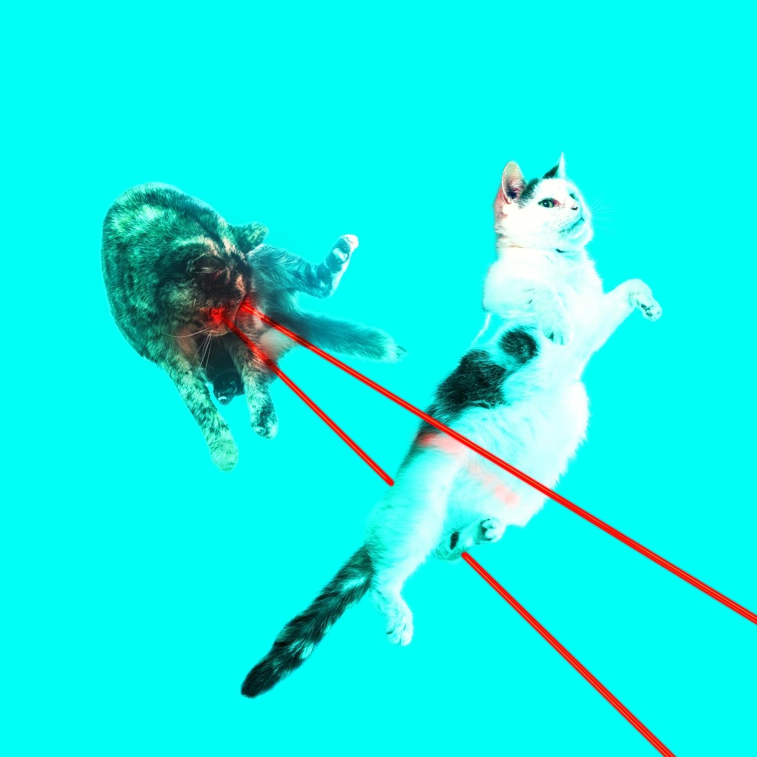 Faya Lobi (Original Mix)