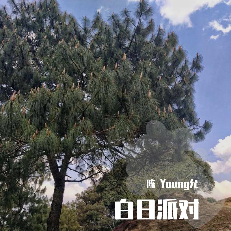 白日派对