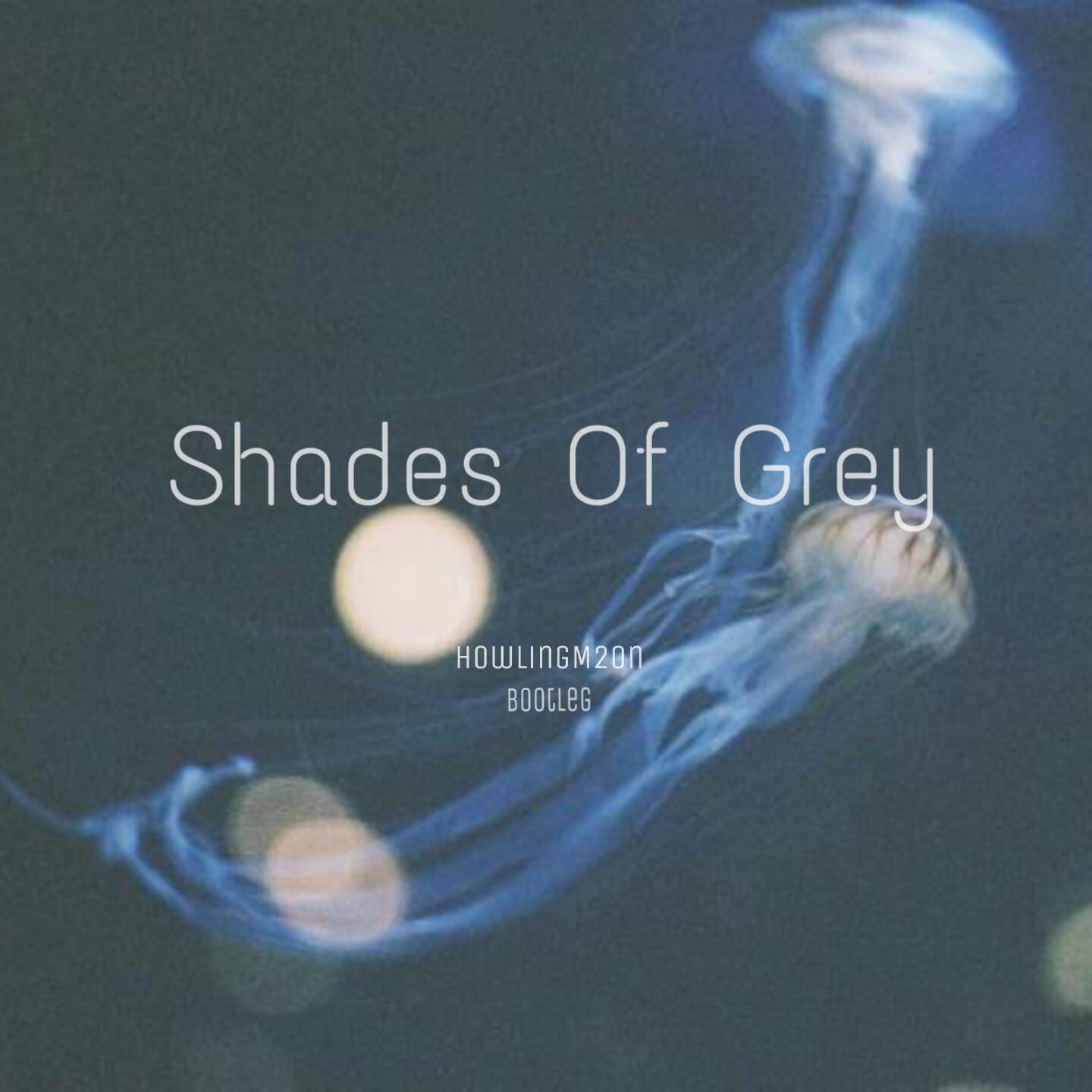 Shades of Grey（HowlingM2on Bootleg）专辑