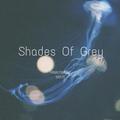 Shades of Grey（HowlingM2on Bootleg）