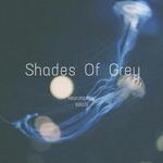 Shades of Grey（HowlingM2on Bootleg）专辑