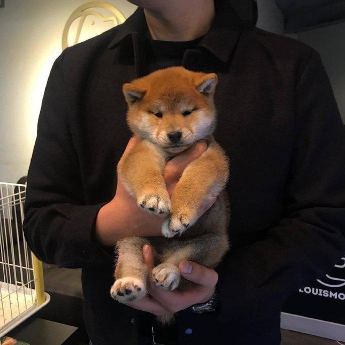 魔动闪霸：对手（Live）（翻自 Smelly D）