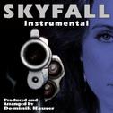 Skyfall Instrumental