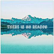 There Is No Reason