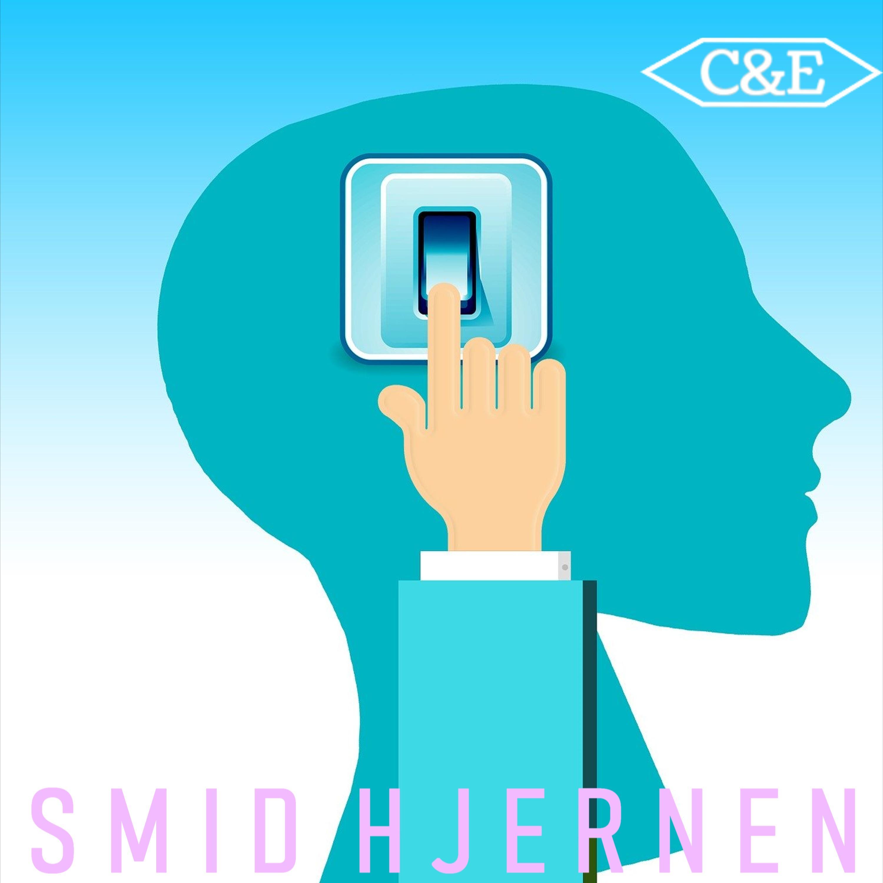 Smid Hjernen