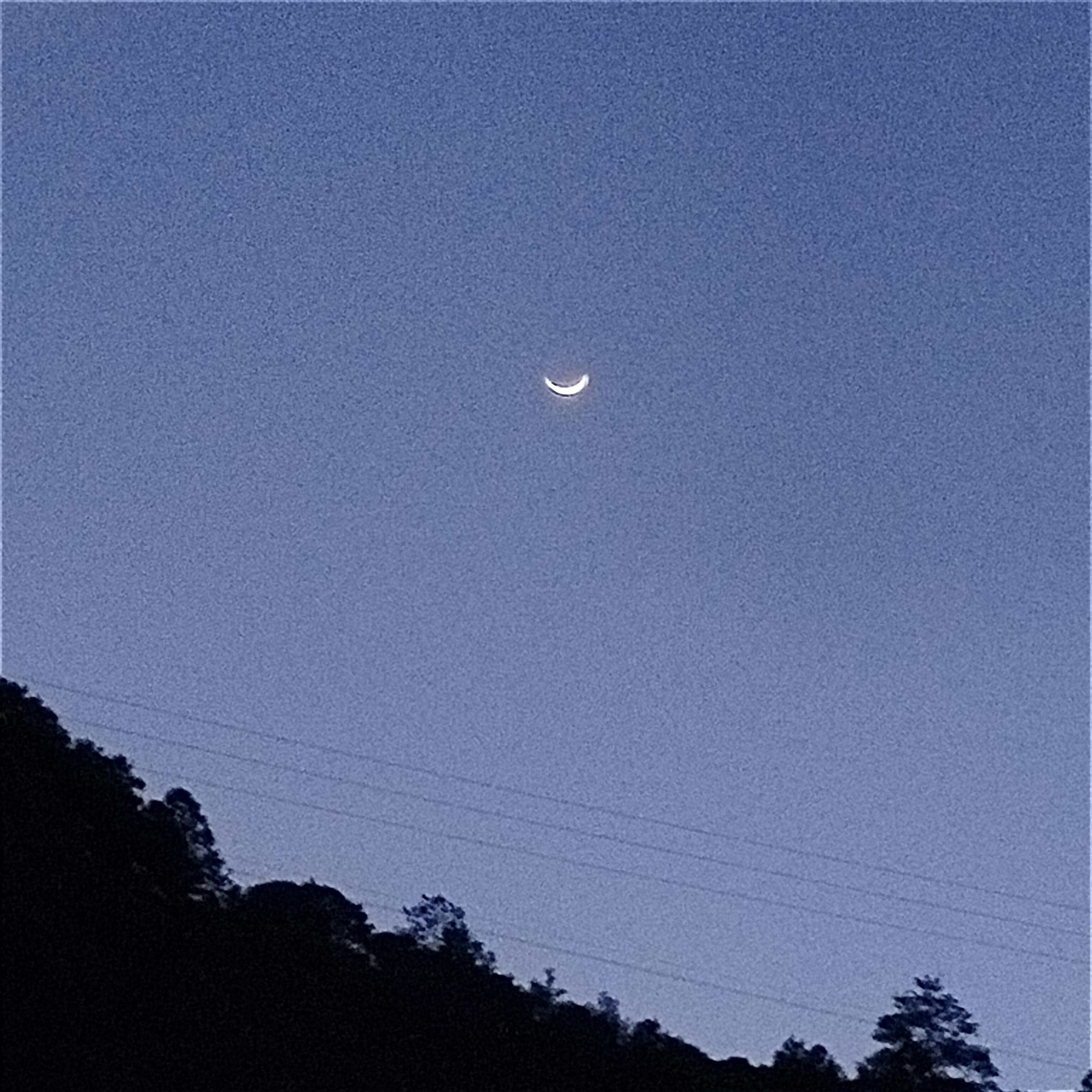 ヽ｀ヽヽ｀ヽヽヽ｀ヽ｀