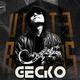 Gecko