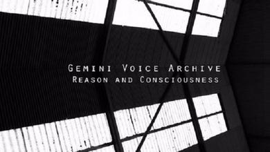 Gemini Voice Archive