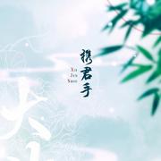 携君手（大珰主题曲）